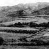 Early view of Carpinteria Valley